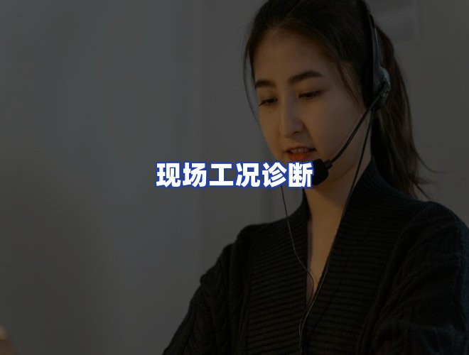 专业团队