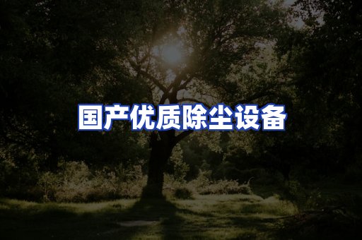 国产优质除尘设备